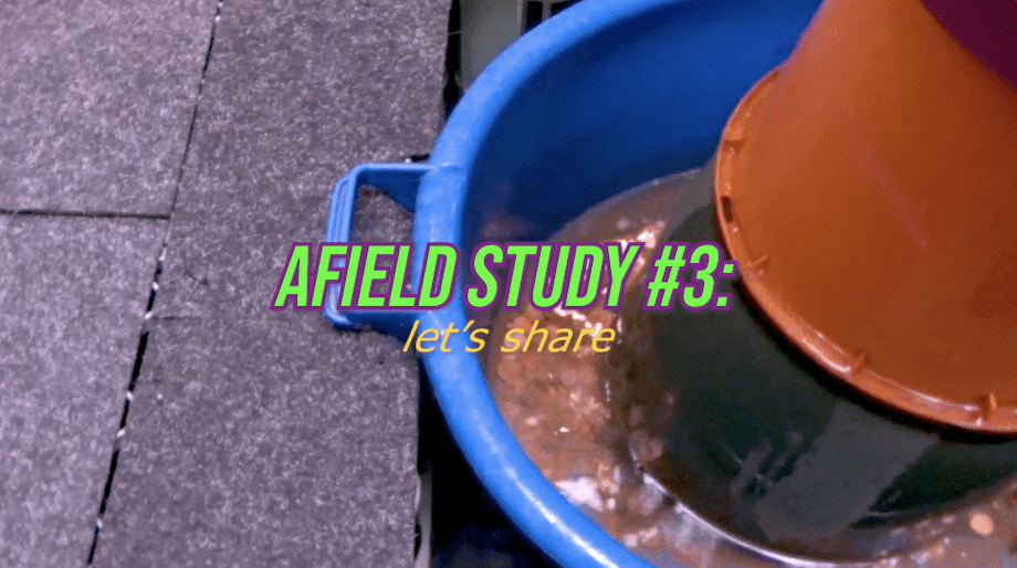 Afield Study 3 at Documenta screenshot